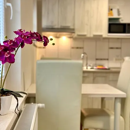 Hotel apartamentowy Kobal *