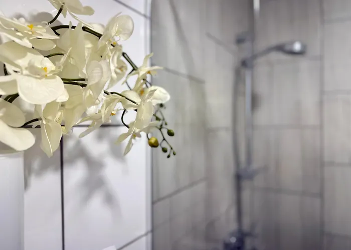 Guest house Kobal 3*