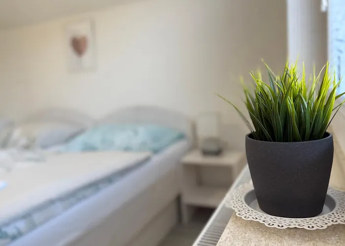 Guest house Kobal 3*