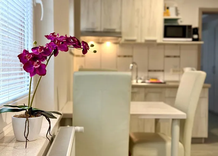 Guest house Kobal 3*